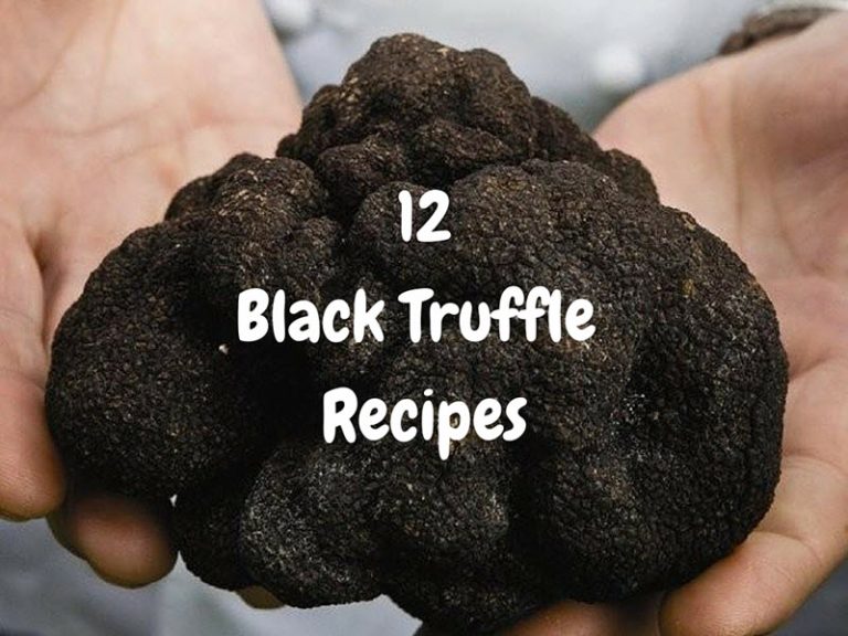 12-Black-Truffle-Recipes-Just-In-Time-Go